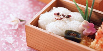 日本寿司制作精细教案，自媒体美食新潮流