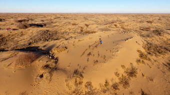 中东沙漠治理：沙漠变绿洲的梦想成真